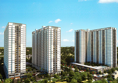 Dự án đang thực hiện