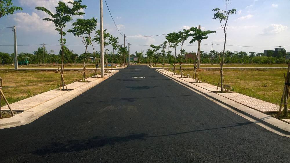global-home-phan-lo-ban-nen-1