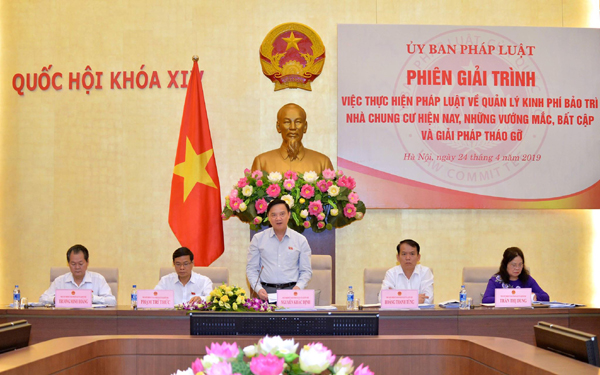 phien giai trinh