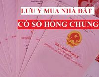 Những lưu ý khi mua bán nhà đất có sổ hồng chung