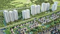 ĐBQH Trần Du Lịch: Bất động sản không phải là "cháo"